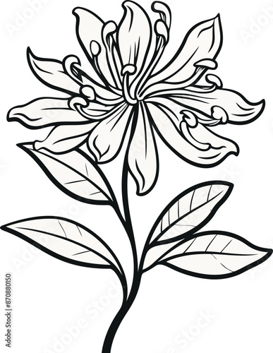Honeysuckle flower line art vector illustrations set isolated on a transparent background. Modern minimalist design for logo, tattoo, wall art, poster, packaging, stickers. Black ink sketch.