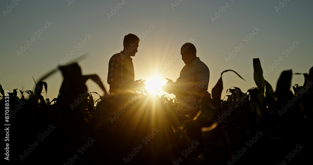 Silhouettes of two farmers talking in a field against a picturesque sunset, uses a tablet. Silhouettes of two farmers talking in a field against a picturesque sunset, uses a tablet.