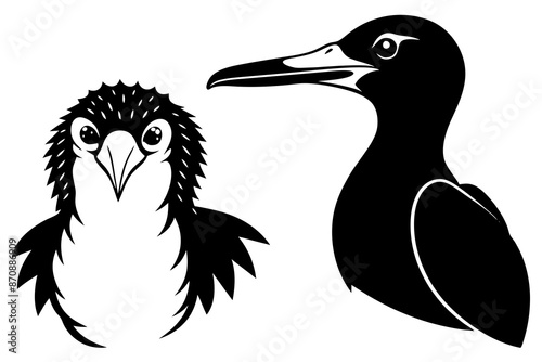 frigatebird galapagos penguin silhouette vector illustration  photo