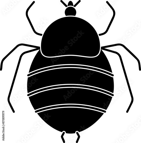 Louse illustration