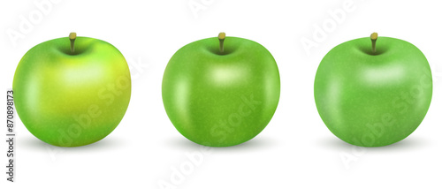 Vector drawing of set realistic green apples.