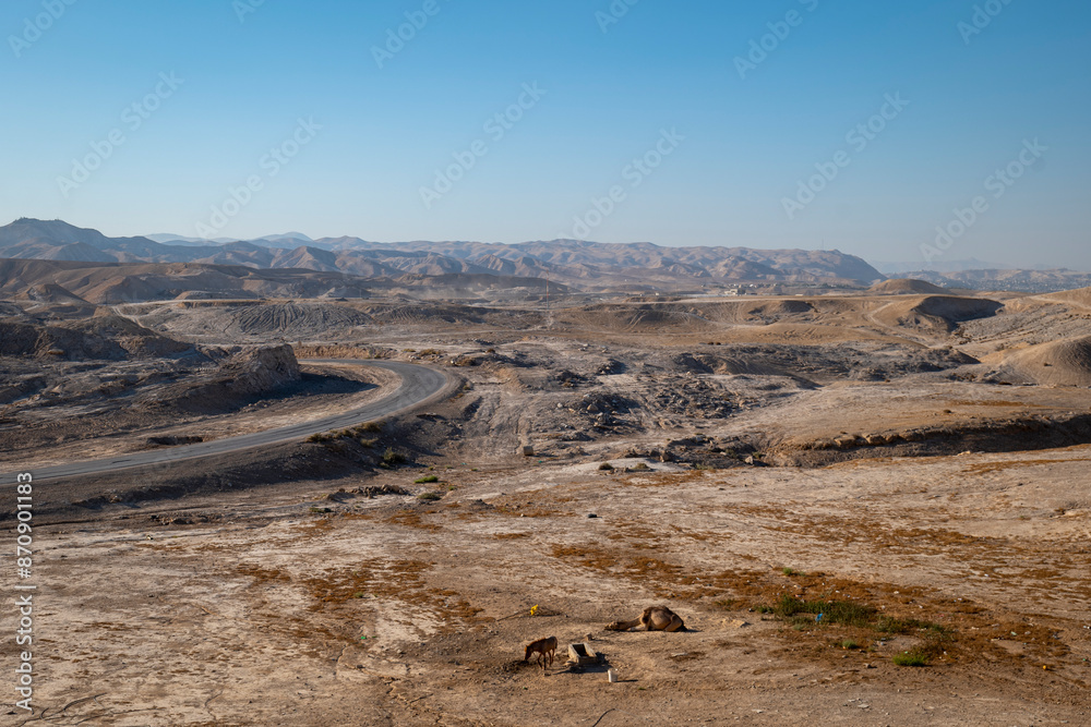 Wide View of the Road and Desert with a Horse and a Camel Resting by An Nabi Musa Mosque at Mid-Day