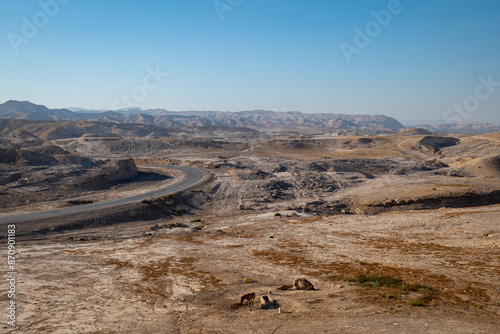 Wide View of the Road and Desert with a Horse and a Camel Resting by An Nabi Musa Mosque at Mid-Day