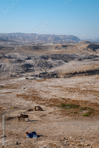 Wide View of the Road and Desert with a Horse and a Camel Resting by An Nabi Musa Mosque at Mid-Day