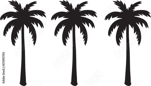 palm tree silhouette