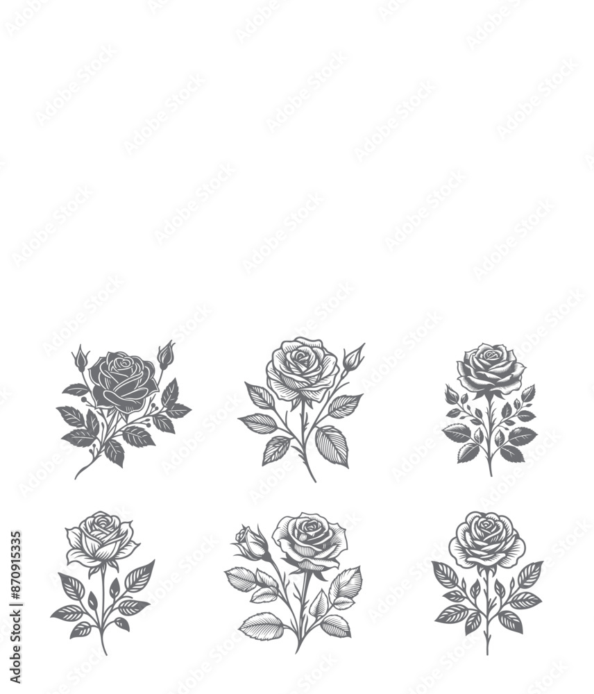 Rose Silhouette vector Illustration Rose Silhouette vector Illustration