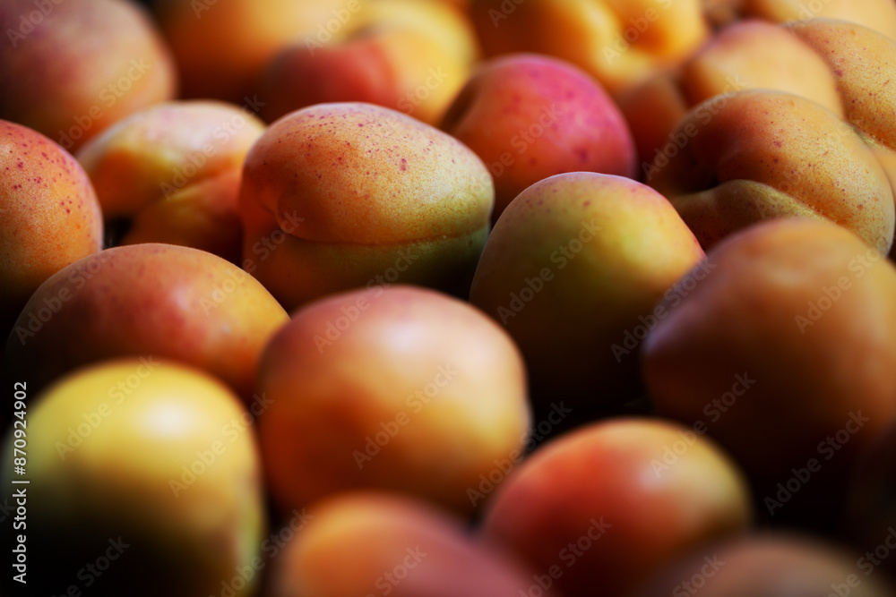 Fruits of juicy apricots in close-up.
Fruits of juicy apricots in close-up.