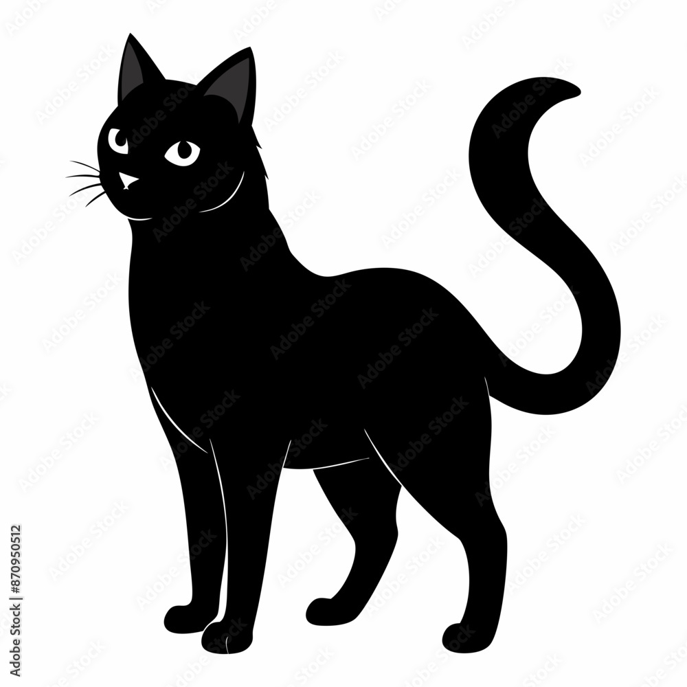 black cat on white black cat on white