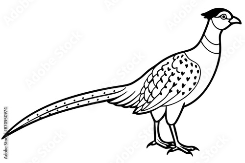 Pheasant silhouette vector illustration, Pheasant Bird