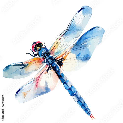 Watercolor drawing clipart of a dragonfly, isolated on a white background, Illustration painting, dragonfly vector, drawing, design art, clipart image, Graphic logo