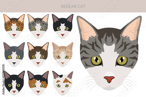 Aegean cat clipart. All coat colors set. All cat breeds characteristics infographic