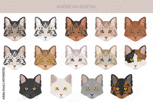 American Bobtail cat clipart. All coat colors set.  All cat breeds characteristics infographic photo