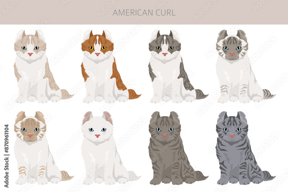 American Curl cat clipart. All coat colors set. All cat breeds characteristics infographic American Curl cat clipart. All coat colors set. All cat breeds characteristics infographic