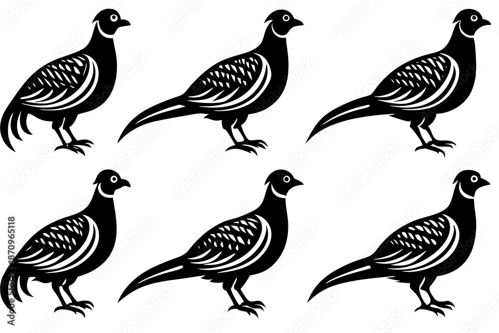 Bird pheasant vector silhouettes, Collection of silhouettes of common pheasants Bird pheasant vector silhouettes, Collection of silhouettes of common pheasants