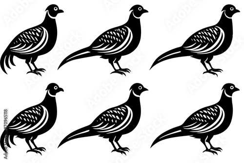 Bird pheasant vector silhouettes, Collection of silhouettes of common pheasants