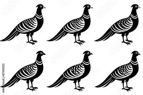 Bird pheasant vector silhouettes, Collection of silhouettes of common pheasants