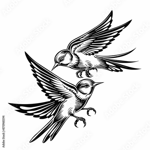 Two birds flying in the sky with their wings spread out. The birds are black and white. The image has a calm and peaceful mood