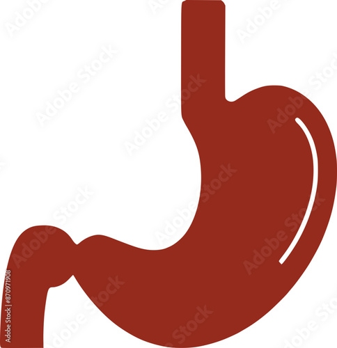 stomach as a digestive system organ of human body