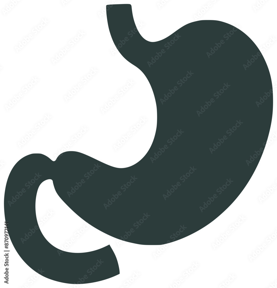 stomach as a digestive system organ of human body stomach as a digestive system organ of human body