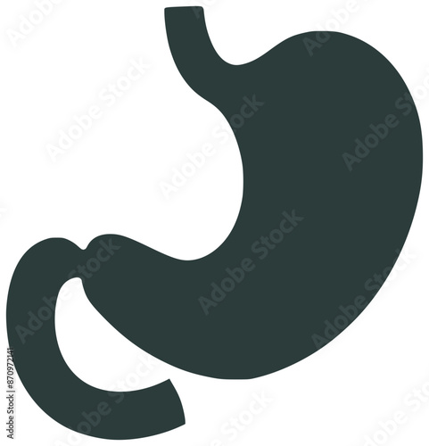 stomach as a digestive system organ of human body