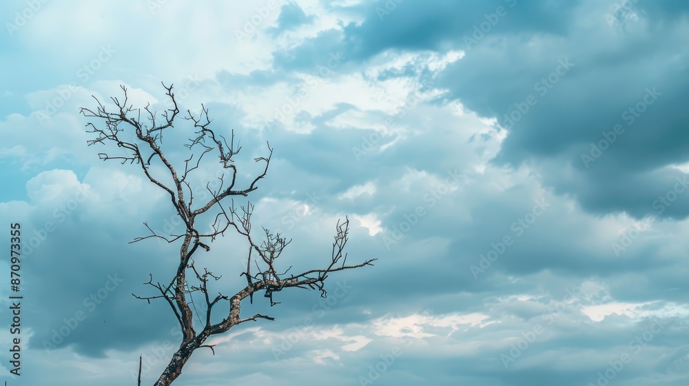 Dry tree with branches against cloudy sky space for text Dry tree with branches against cloudy sky space for text