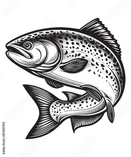 Salmon line art