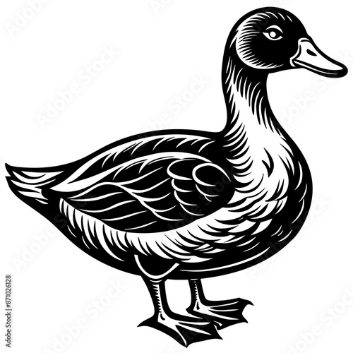 duck silhouette vector illustration