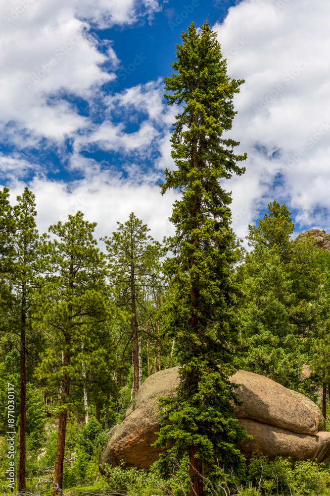 Scenic Rocky landscape in the Staunton State Park, Colorado Scenic Rocky landscape in the Staunton State Park, Colorado