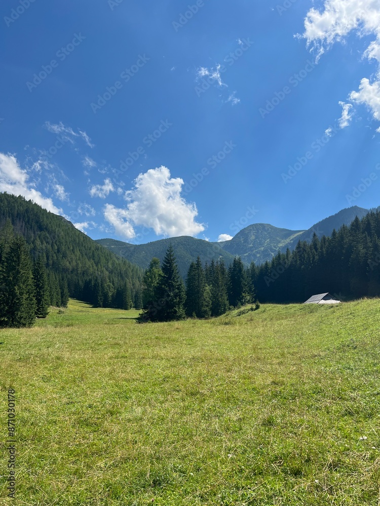 Obraz premium landscape in the summer