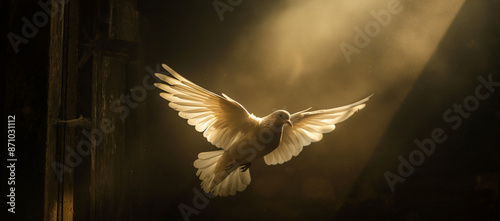A dove with outstretched wings in an open door, illuminated by light rays
