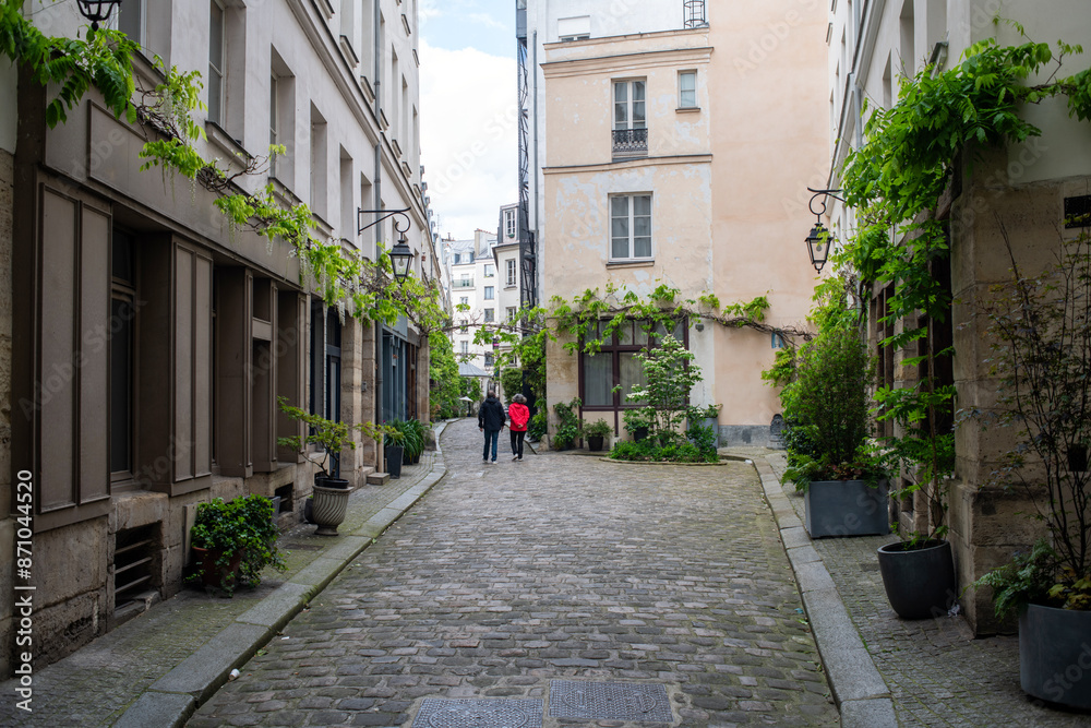 Fototapeta premium une petite rue pavée dans le centre d eParis en France