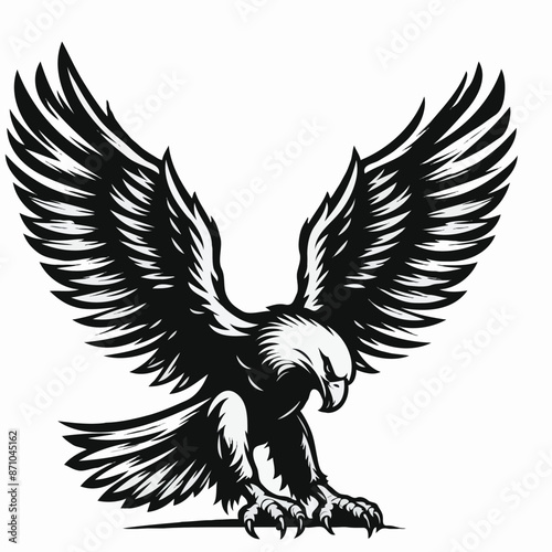 Eagle vector illustration