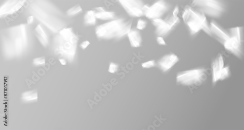Glare from the sun's rays on the wall. Blurred shadows from leaves and plants in the room. Soft overlay of natural light. Abstract background for product presentation.Natural light layout.
