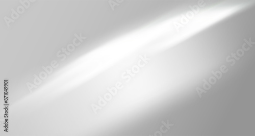 Glare from the sun's rays on the wall. Blurred shadows from leaves and plants in the room. Soft overlay of natural light. Abstract background for product presentation.Natural light layout.