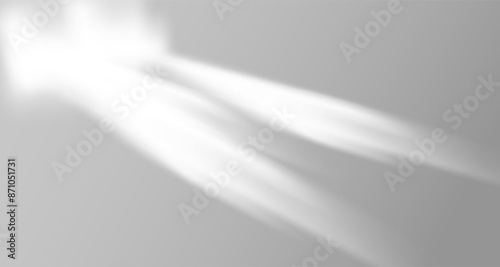Glare from the sun's rays on the wall. Blurred shadows from leaves and plants in the room. Soft overlay of natural light. Abstract background for product presentation.Natural light layout.