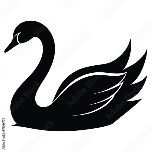 black swan silhouette vector illustration