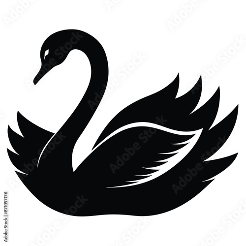 black swan silhouette vector illustration