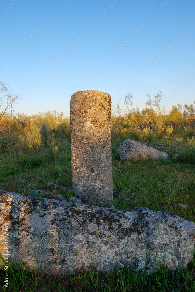 Römische Meilensteine am Pilgerweg Via de la Plata bei Casar de Cáceres, Extremadua in Spanien