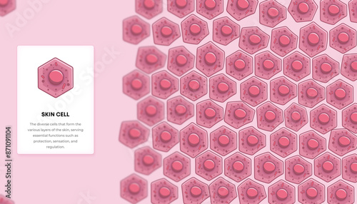 Skin Cells icon and Background - The diverse cells that form the various layers of the skin, serving essential functions such as protection, sensation and regulation.