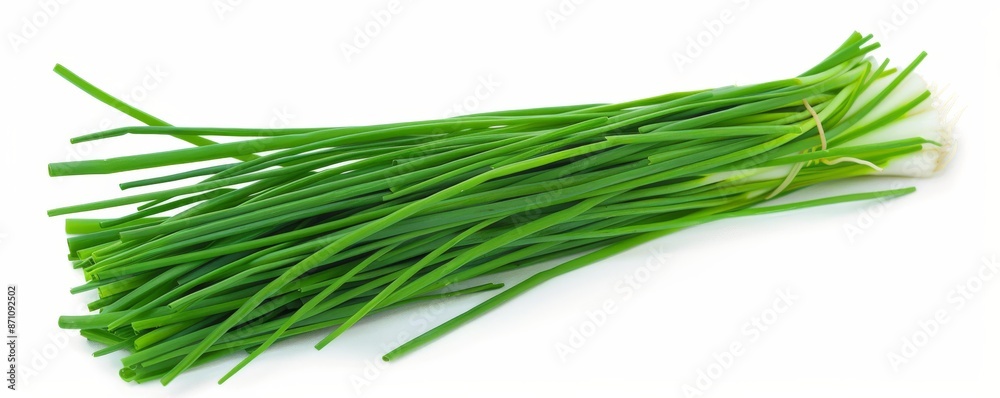 Fresh bunch of chives isolated on white background. Herbs and culinary concept Fresh bunch of chives isolated on white background. Herbs and culinary concept