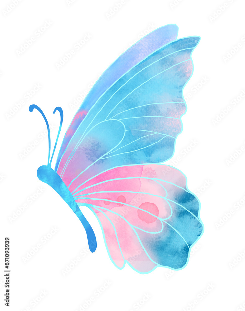 Obraz premium Watercolour painting colourful butterfly isolated on white background.