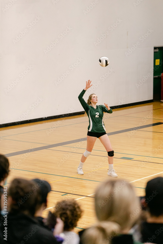 A Teenage Volleyball Player Serves A Teenage Volleyball Player Serves