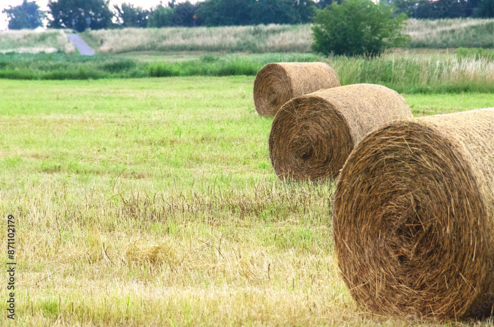 Hay bales. Hay bales are stacked on the field in large stacks. Harvesting in agriculture. Hay bales. Hay bales are stacked on the field in large stacks. Harvesting in agriculture.