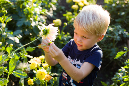 boy with flower photo