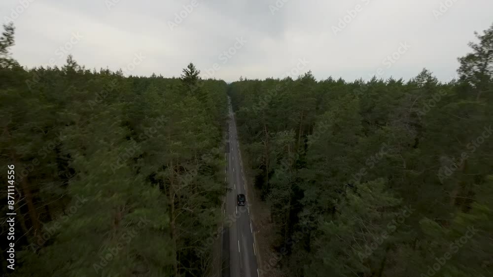 Aerial View of a Car Driving Through a Dense Forest Aerial View of a Car Driving Through a Dense Forest