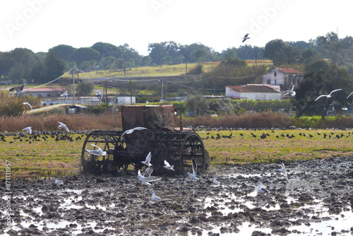 agriculture in Portugal, europe