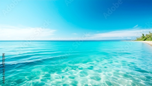 透明度の高い南国の海の景色