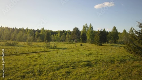 beautiful nature at the beginning of summer at the moment of evening sunset. 4k video of excellent quality, unique material for design and creation of works