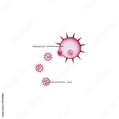 Diagram of virus and virus infected cell - schematic simple illustration. skeletal structure diagram. compound molecule scientific illustration.