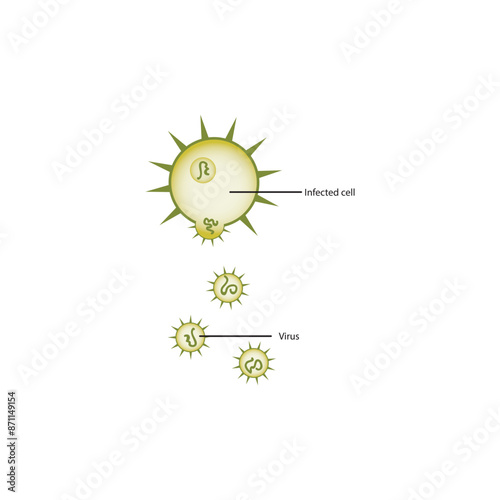 Diagram of virus and virus infected cell - schematic simple illustration. skeletal structure diagram. compound molecule scientific illustration.